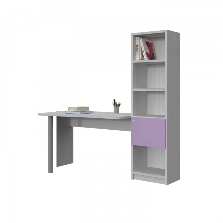 BOOKCASE AND DESK COMPOSITION WITH DOOR