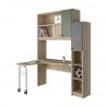 BOOKCASE AND DESK COMPOSITION WITH DRAWERS AND CUPBOARDS