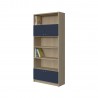 BOOKCASE OF 4 SHELVES AND CUPBOARDS