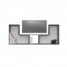 TV FURNITURE WITH "CANAVOS WALL SYSTEM"
