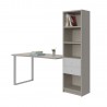 BOOKCASE AND DESK POP 3 COMPOSITION