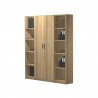 BOOKCASE WITH DOORS 176,5x33x201,5 cm
